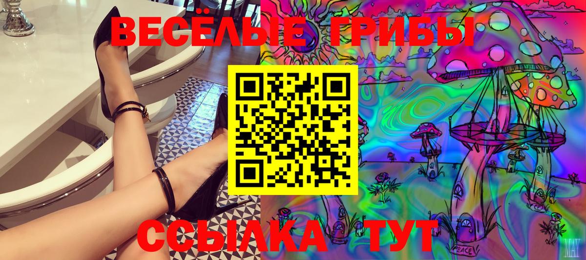 Галлюциногенные грибы Psilocybe Бузулук