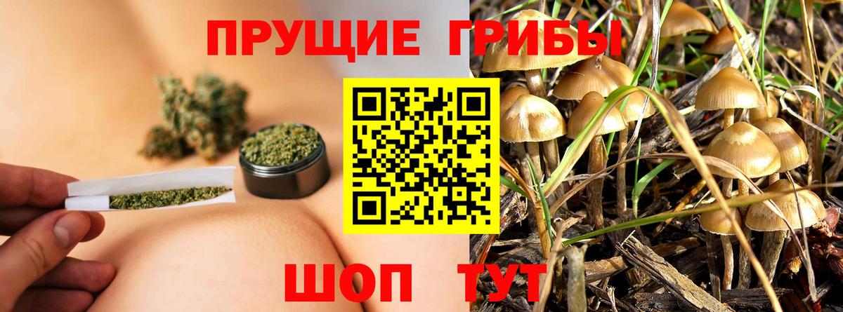 Бошки Шишки  Бузулук  Меф кристаллы  Кокаин  ГАШ  Вход с VPN 